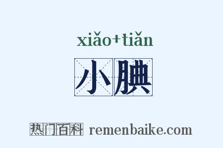 小腆是什么意思的图片